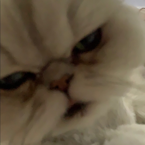 Meet your Posher, Kerry - Picture 1 of 1